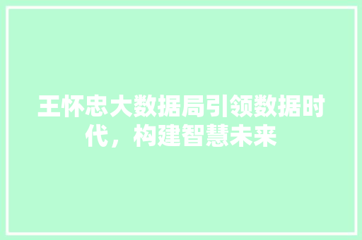 王怀忠大数据局引领数据时代，构建智慧未来