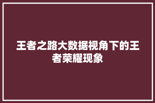 王者之路大数据视角下的王者荣耀现象