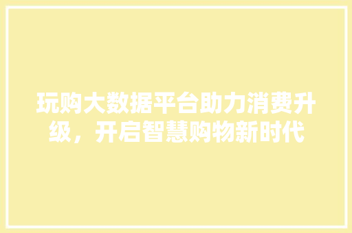 玩购大数据平台助力消费升级，开启智慧购物新时代