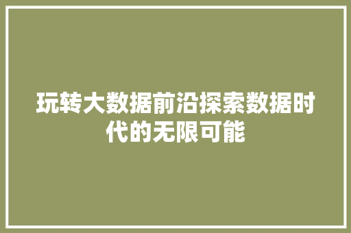 玩转大数据前沿探索数据时代的无限可能