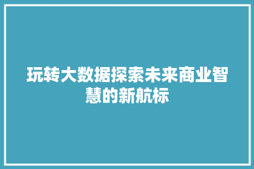 玩转大数据探索未来商业智慧的新航标