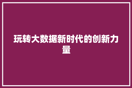 玩转大数据新时代的创新力量