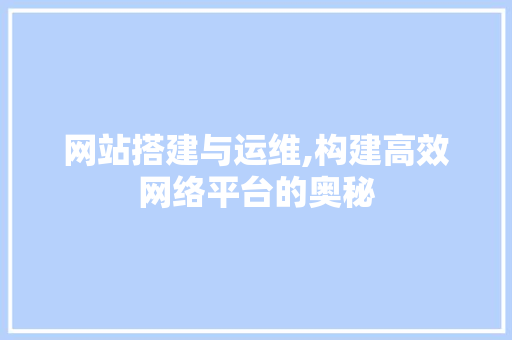 网站搭建与运维,构建高效网络平台的奥秘