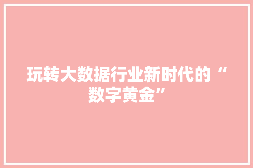 玩转大数据行业新时代的“数字黄金”