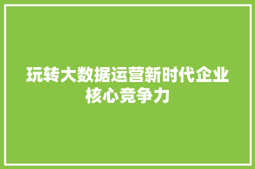 玩转大数据运营新时代企业核心竞争力