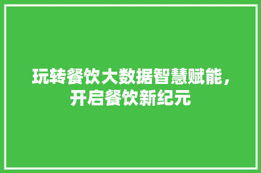 玩转餐饮大数据智慧赋能，开启餐饮新纪元
