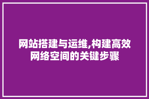 网站搭建与运维,构建高效网络空间的关键步骤