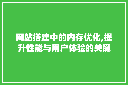 网站搭建中的内存优化,提升性能与用户体验的关键 网站搭建中的内存优化,提升性能与用户体验的关键 WordPress教程