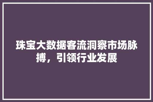 珠宝大数据客流洞察市场脉搏，引领行业发展