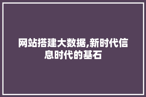 网站搭建大数据,新时代信息时代的基石 网站搭建大数据,新时代信息时代的基石 Web前端