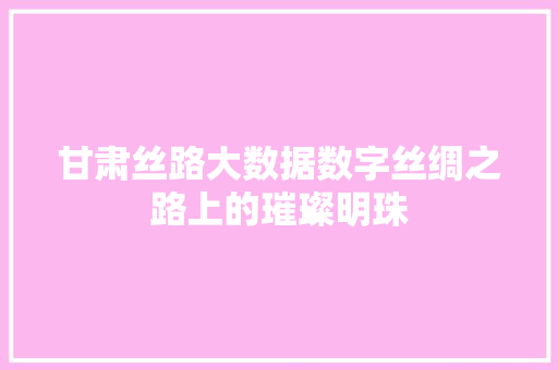 甘肃丝路大数据数字丝绸之路上的璀璨明珠