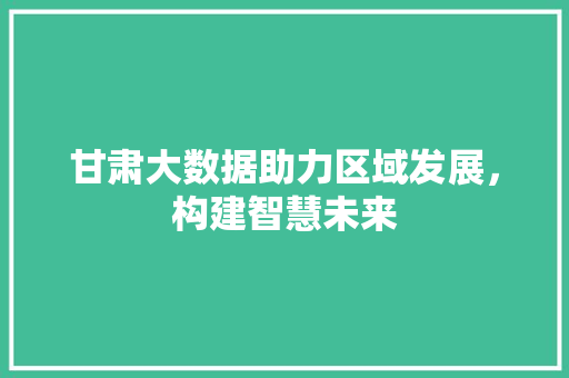 甘肃大数据助力区域发展，构建智慧未来