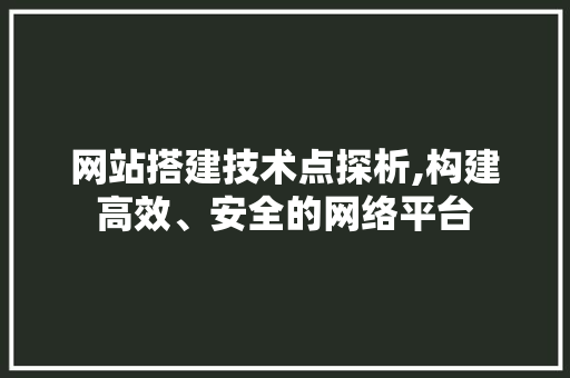 网站搭建技术点探析,构建高效、安全的网络平台