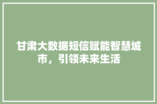 甘肃大数据短信赋能智慧城市，引领未来生活