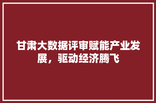 甘肃大数据评审赋能产业发展，驱动经济腾飞