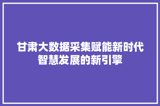 甘肃大数据采集赋能新时代智慧发展的新引擎