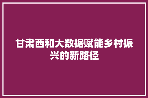 甘肃西和大数据赋能乡村振兴的新路径