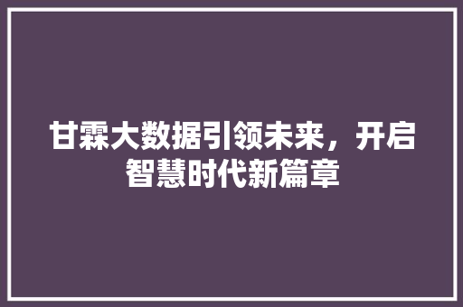 甘霖大数据引领未来，开启智慧时代新篇章