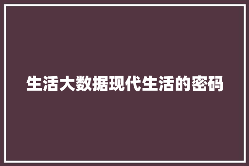 生活大数据现代生活的密码