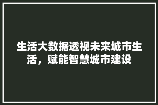 生活大数据透视未来城市生活，赋能智慧城市建设