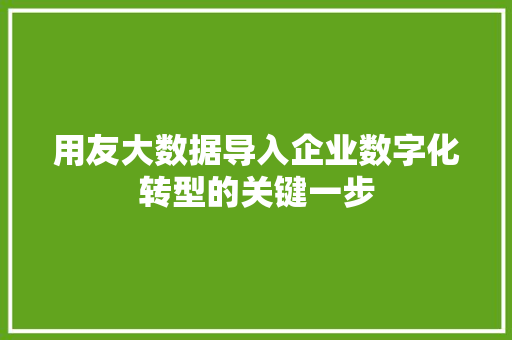 用友大数据导入企业数字化转型的关键一步