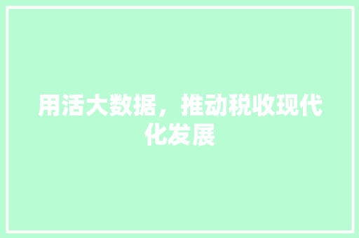 用活大数据，推动税收现代化发展