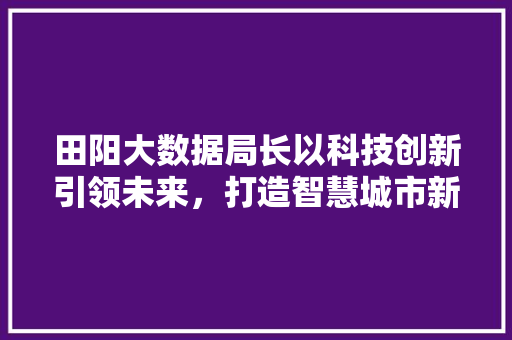 田阳大数据局长以科技创新引领未来，打造智慧城市新格局