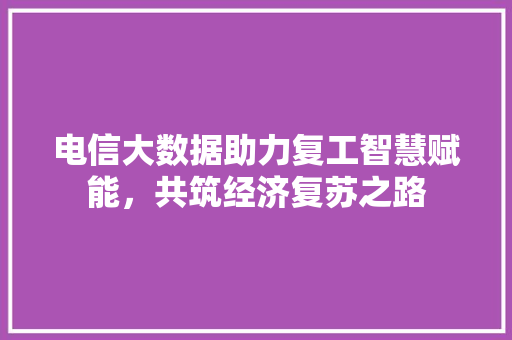 电信大数据助力复工智慧赋能，共筑经济复苏之路
