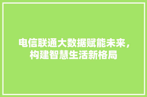 电信联通大数据赋能未来，构建智慧生活新格局