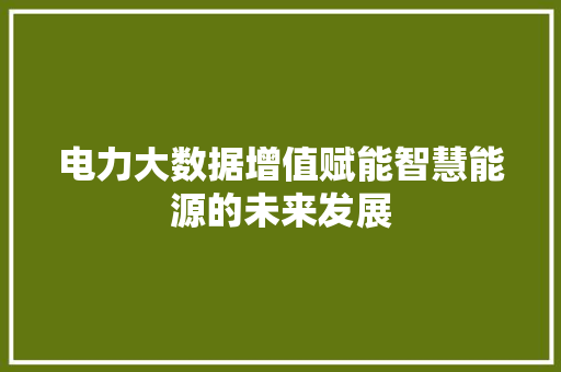 电力大数据增值赋能智慧能源的未来发展