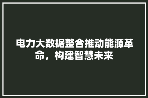 电力大数据整合推动能源革命，构建智慧未来