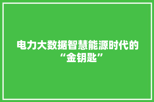 电力大数据智慧能源时代的“金钥匙”