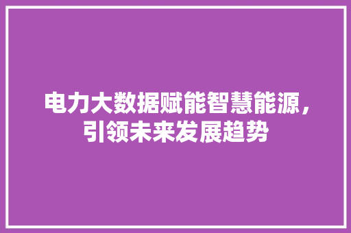 电力大数据赋能智慧能源，引领未来发展趋势
