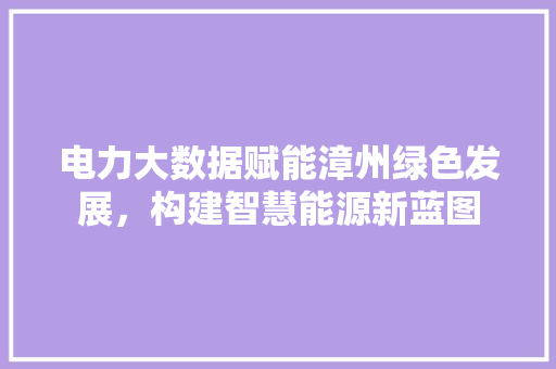 电力大数据赋能漳州绿色发展，构建智慧能源新蓝图