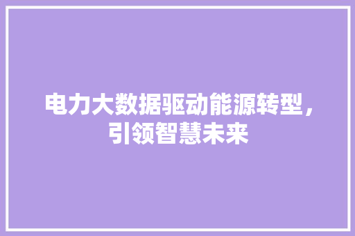 电力大数据驱动能源转型，引领智慧未来