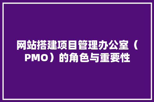 网站搭建项目管理办公室（PMO）的角色与重要性