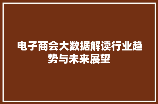 电子商会大数据解读行业趋势与未来展望