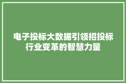 电子投标大数据引领招投标行业变革的智慧力量