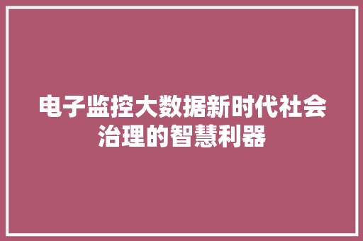 电子监控大数据新时代社会治理的智慧利器
