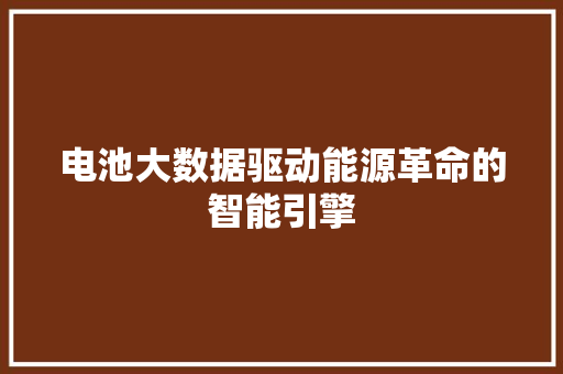 电池大数据驱动能源革命的智能引擎