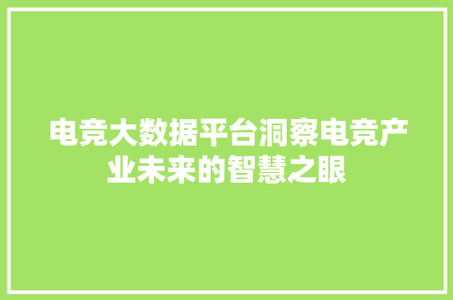 电竞大数据平台洞察电竞产业未来的智慧之眼