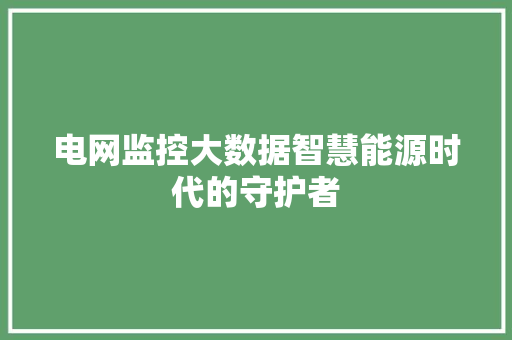 电网监控大数据智慧能源时代的守护者