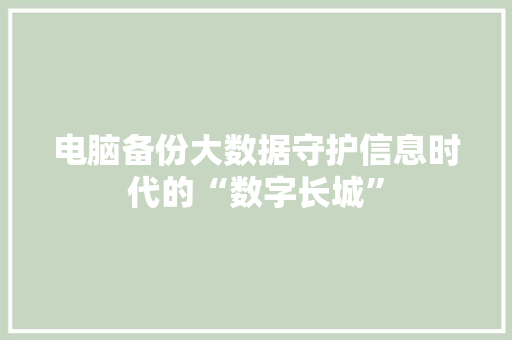 电脑备份大数据守护信息时代的“数字长城”