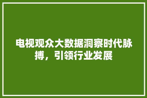 电视观众大数据洞察时代脉搏，引领行业发展