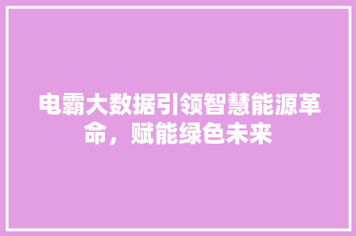 电霸大数据引领智慧能源革命，赋能绿色未来