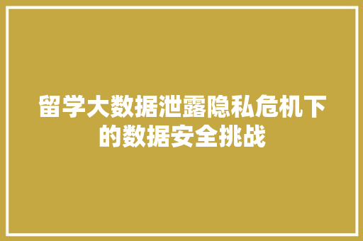 留学大数据泄露隐私危机下的数据安全挑战