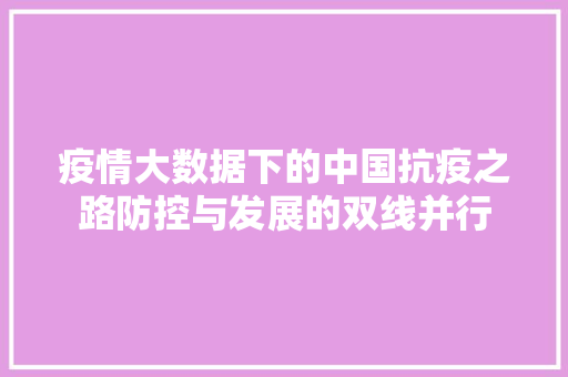 疫情大数据下的中国抗疫之路防控与发展的双线并行