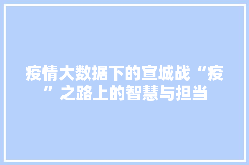 疫情大数据下的宣城战“疫”之路上的智慧与担当