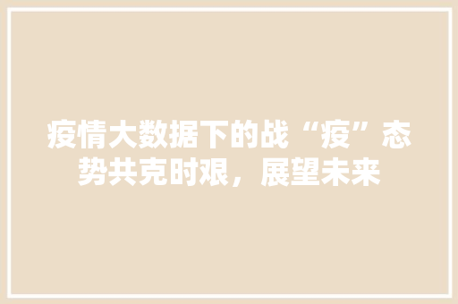 疫情大数据下的战“疫”态势共克时艰，展望未来