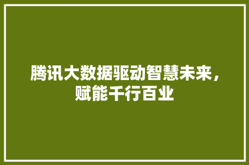 腾讯大数据驱动智慧未来，赋能千行百业